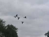 Train to Reading, Thames Path Day 9