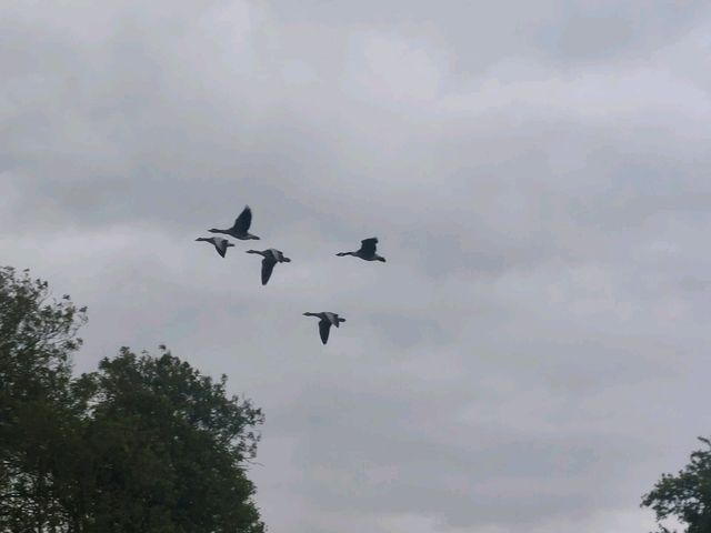 Train to Reading, Thames Path Day 9 Train to Reading, Thames Path Day 9