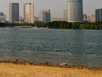 Swan Lake, Hefei Beach Edition 🦢🌅