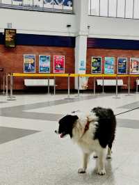 Arrival in Blackpool – A Seamless Welcome at the Station