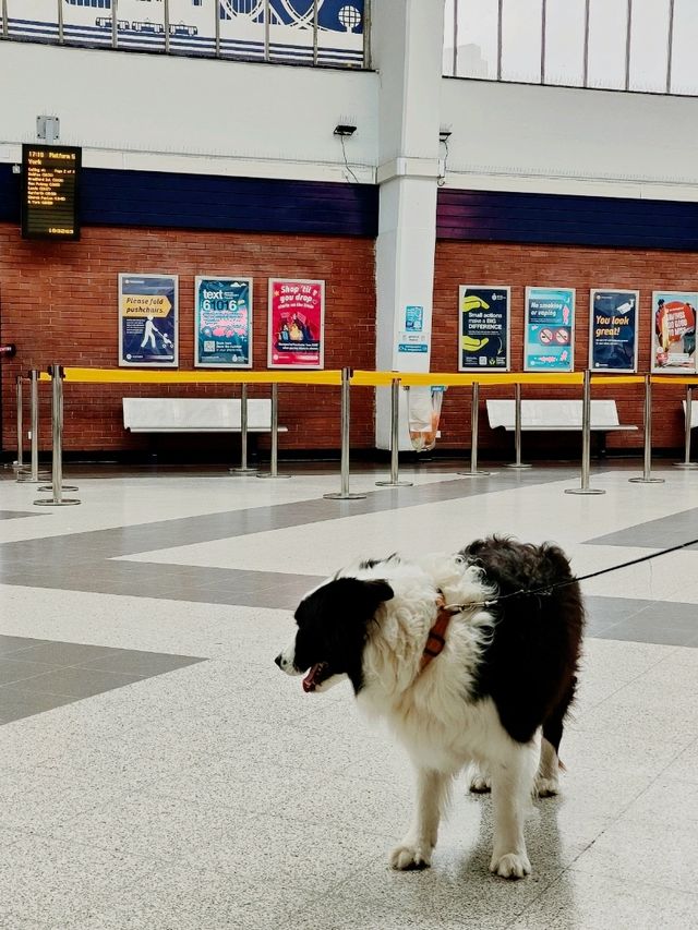 Arrival in Blackpool – A Seamless Welcome at the Station
