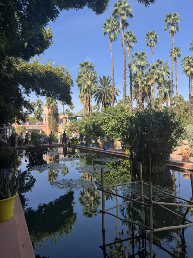 Le Jardin Majorelle花園