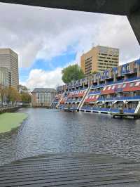 Rotterdam Guide — Modern Architecture and Creative Energy🍵🚅