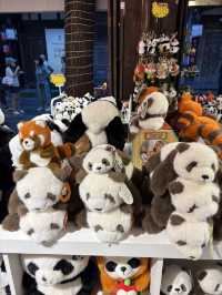 รีวิวถนนจินหลี่ เฉิงตู 🇨🇳