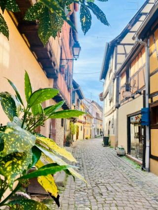 에귀스하임: 교황 레오 9세의 탄생지