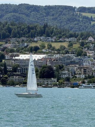 Swiss Independent Travel: Immerse Yourself in the Stunning Alpine Scenery