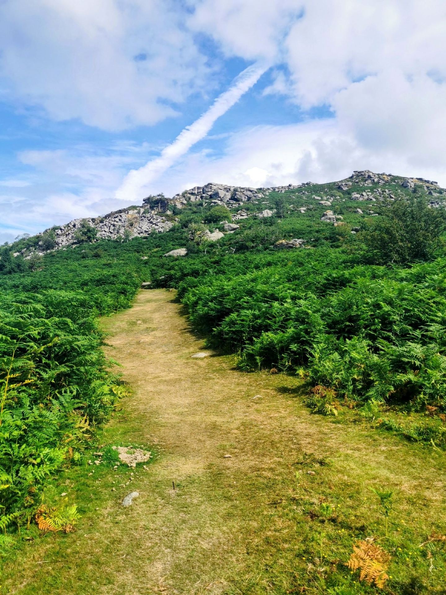 🇬🇧 How to Spend 3 Days in Dartmoor National Park 🧭