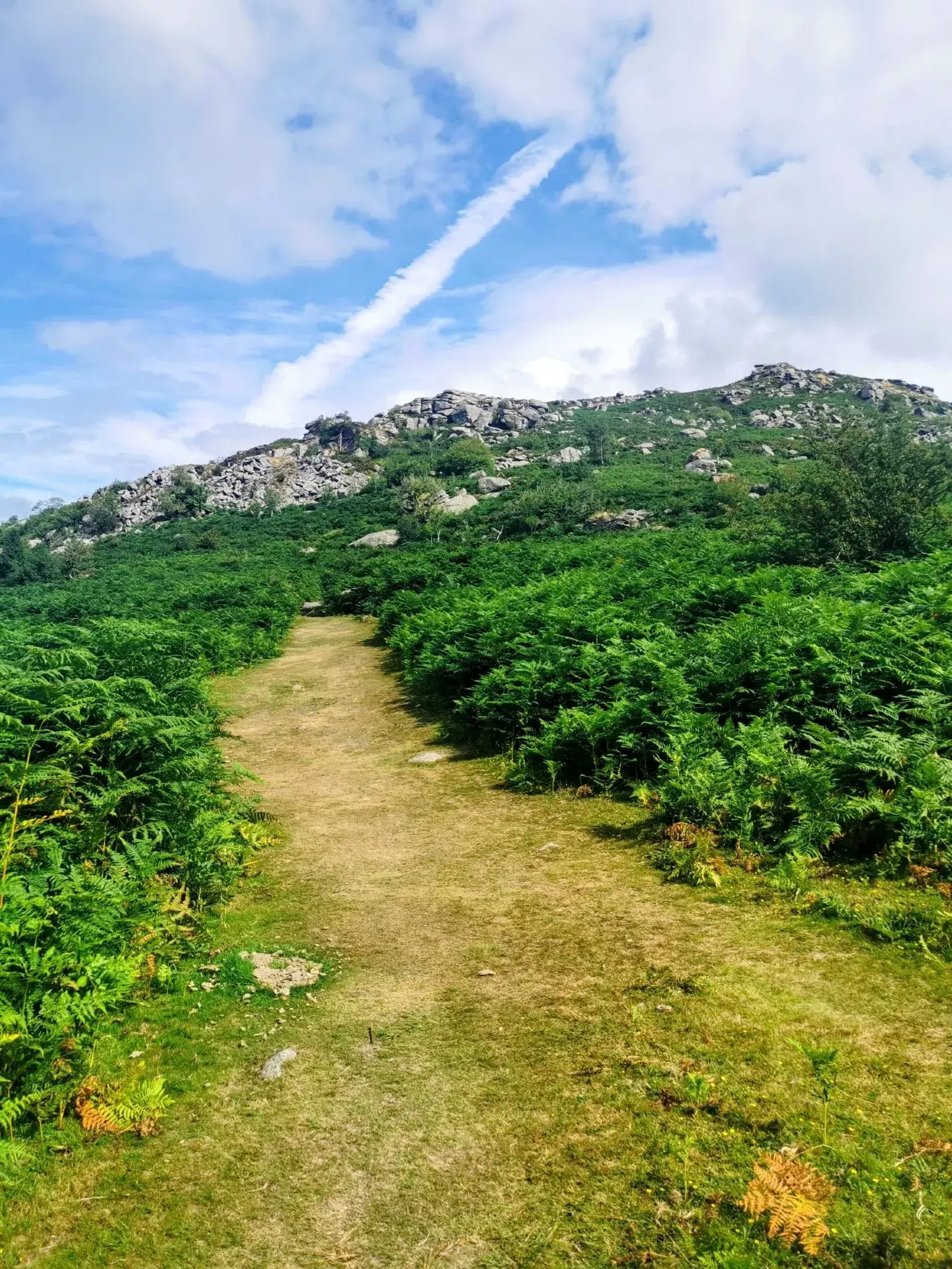 🇬🇧 How to Spend 3 Days in Dartmoor National Park 🧭