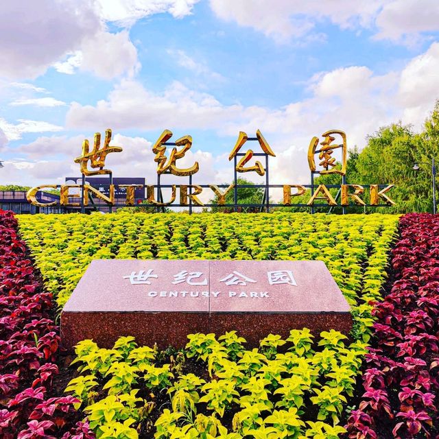 🌅🌇 Sunset Magic: Century Park in Shanghai