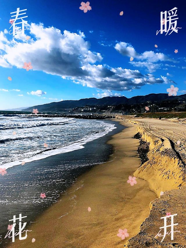 Los Angeles' stunning coastline, Laguna Beach!