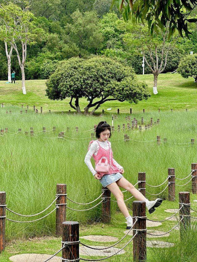 Shenzhen photography | Summer in the anime world is so healing 🍃☁️