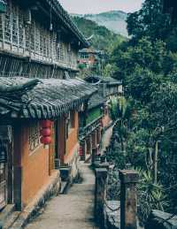 Tea Horse Road, Nake Li