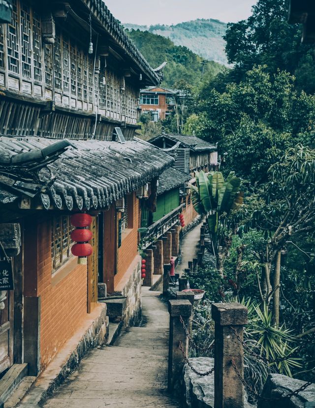 Tea Horse Road, Nake Li