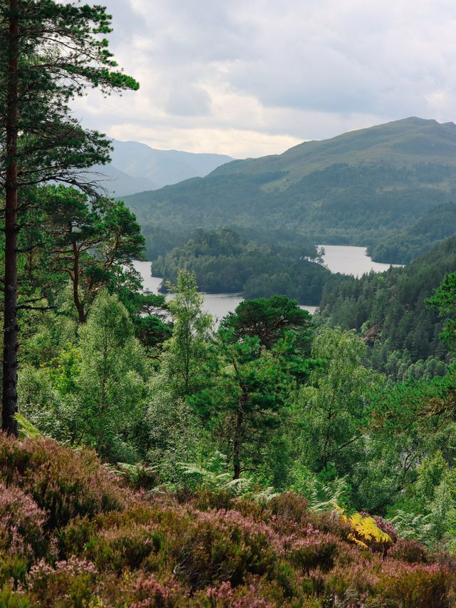 Stunning Glen Affric, Scotland🏴󠁧󠁢󠁳󠁣󠁴󠁿🌲