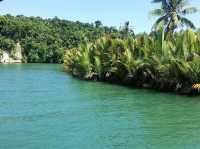 A MUST Cruise Along Loboc River! 🇵🇭