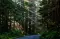 AuroraSky111