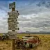 williamdesert