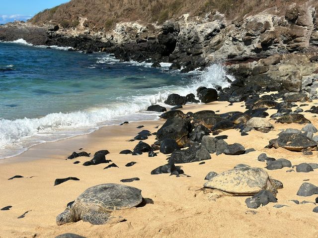 夏威夷島正確打開方式！