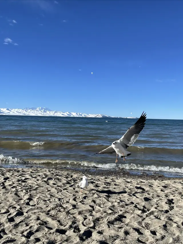 Traveling to Tibet