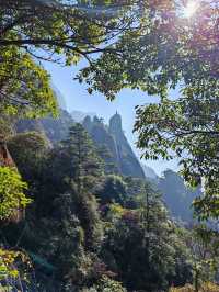 三清山,在14億年花崗岩包圍中的秀美石林