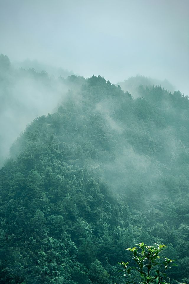 秋天第一次徒步，雨徒霍比特