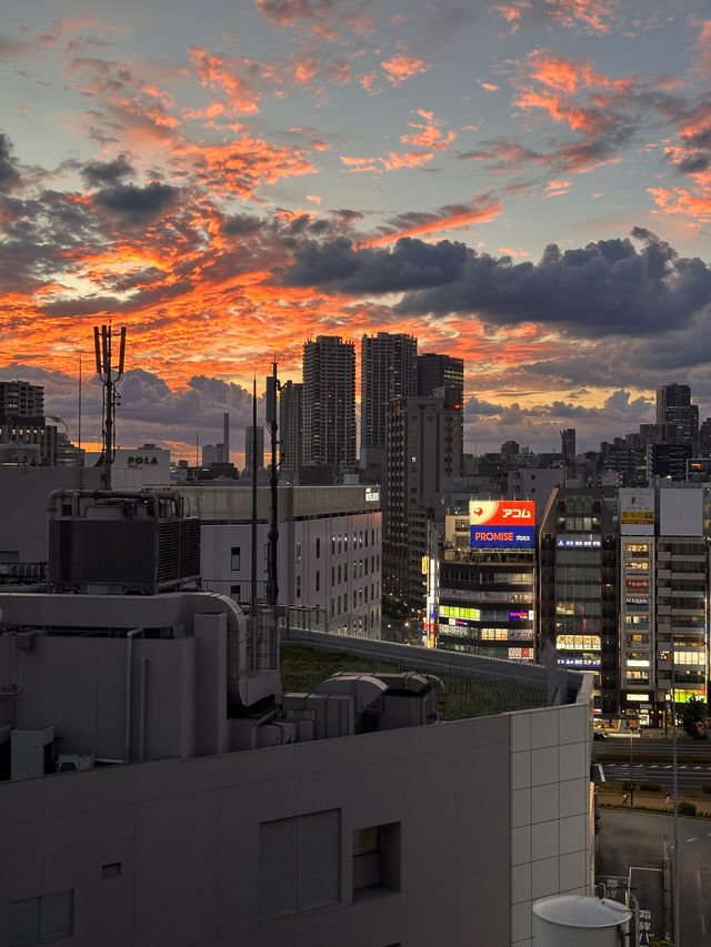 Tokyo, trip of a lifetime. A dream come true