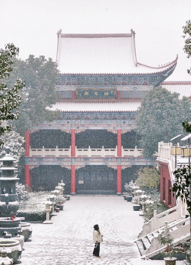 在合肥,總要去開福寺看一場初雪吧 在合肥,總要去開福寺看一場初雪吧