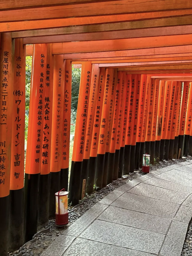 伏見稻荷｜白天與夜場各自美麗，千鳥居超震撼