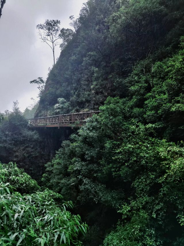 重慶 黑山谷｜山中無別事，歲月無閒愁