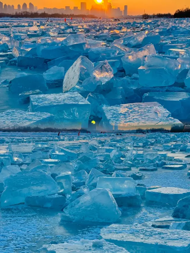 하얼빈 다이아몬드 바다: 송화강의 겨울 동화