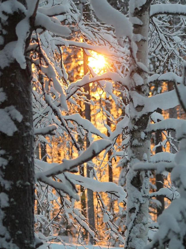 歐娜斯山滑雪中心簡直太棒了