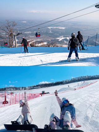 南方の小さなジャガイモは地図を一目で理解します