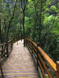 漫步透明玻璃橋，乘坐高空滑索，張家界大峽谷玩的就是心跳