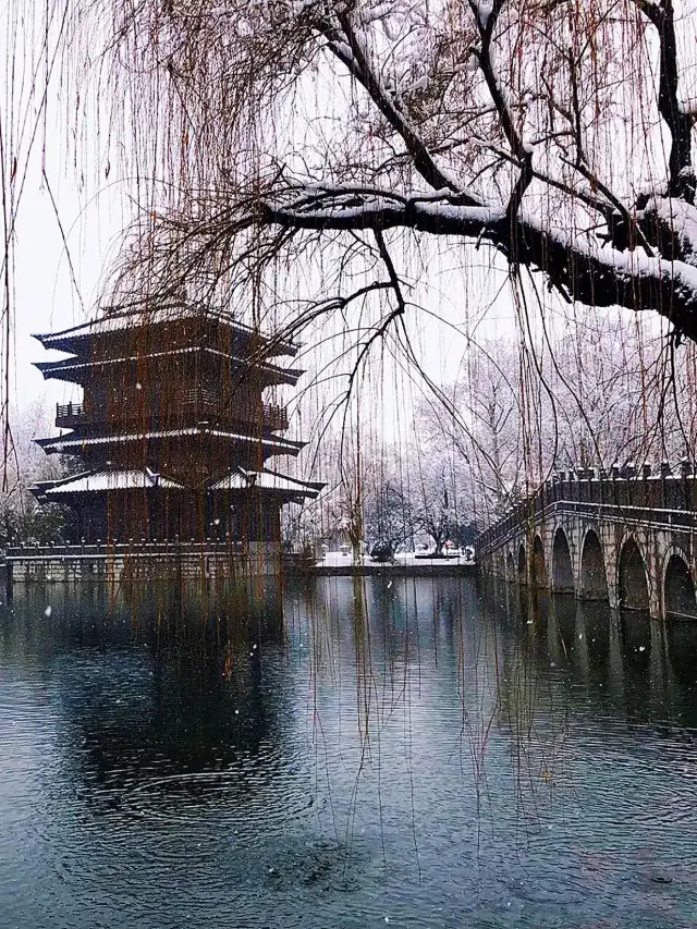 Rui snow quietly fills the garden: After the snow, Xiaoyaojin