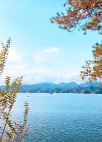 voco千岛湖阳光大酒店｜​坐擁270°湖景