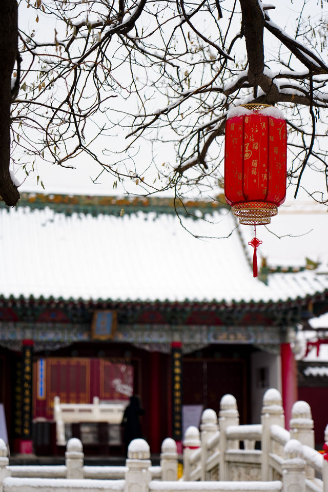 鄭州 | 不是故宮去不起 是雪後文廟更有性價比