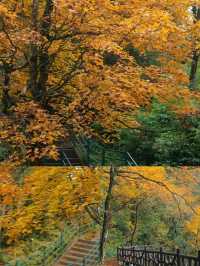 瓦屋山｜“人間天台，最美桌山”