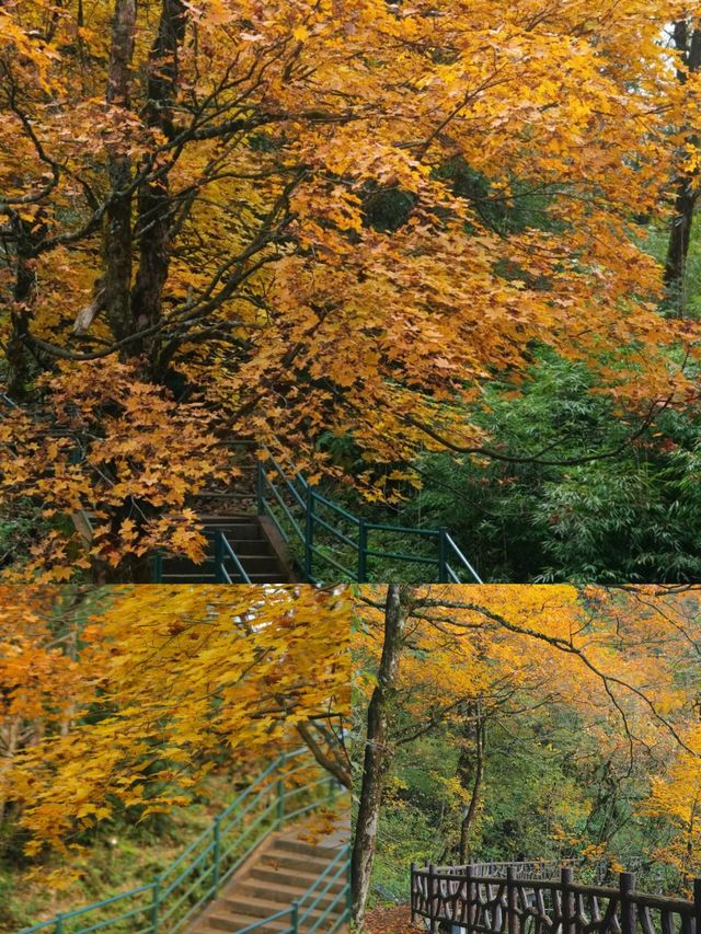 瓦屋山｜“人間天台，最美桌山”
