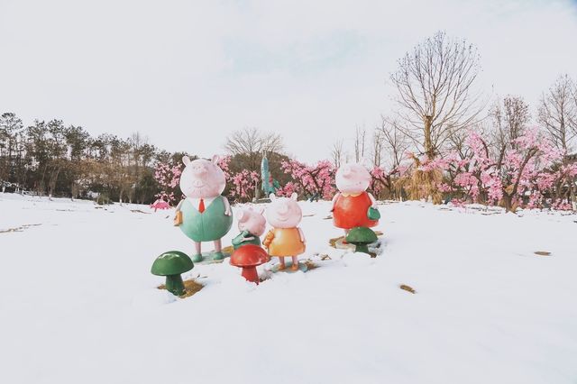 銀杏金黃淡淡褪去，等一場冬雪再次降臨！