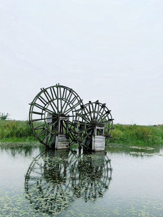 不是北歐，是寧波慈溪的杭州灣