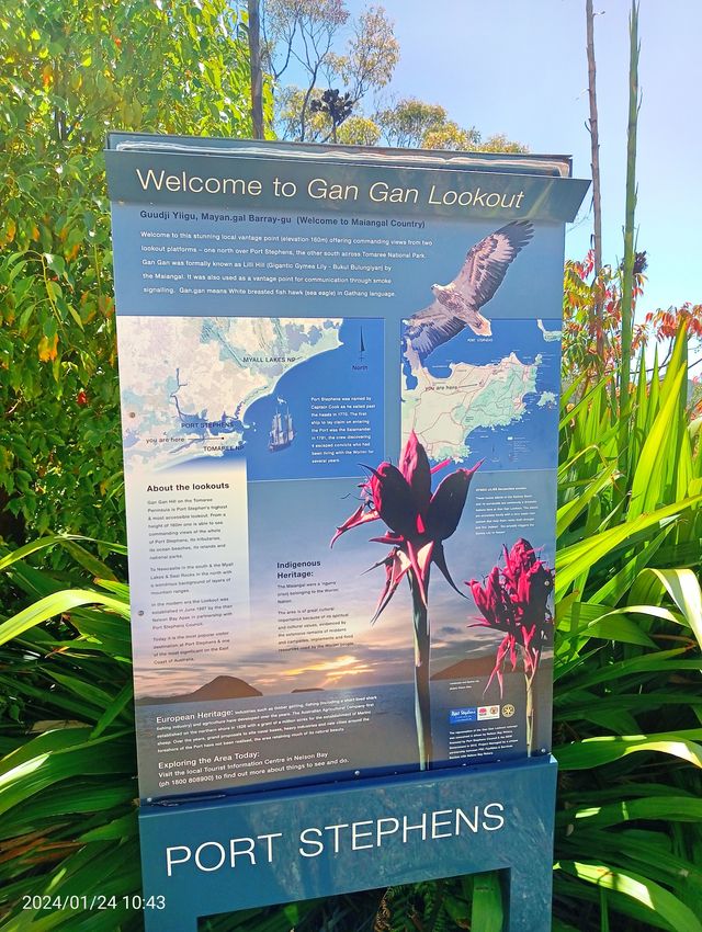在Gan Gan山上觀看Port Stephens全景