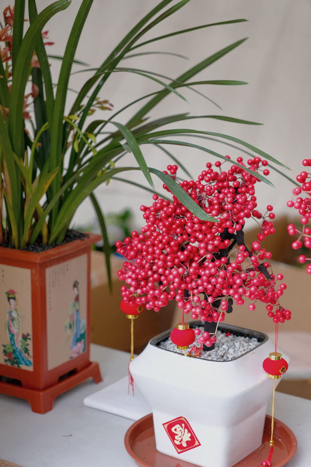 侨城坊花市探秘，春節的浪漫與溫馨在此綻放！