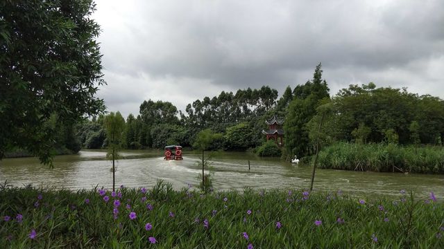 東莞水鄉濕地公園，周末親子遊好去處