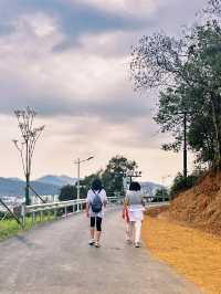 龍年新年｜三亞臨春嶺森林公園環山步道