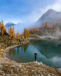 Unveiling the Captivating Larch Madness: Dive into the Spectacular Autumnal Delight in Washington's Cascades! 🍁✨