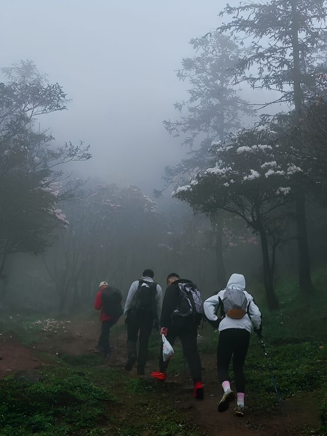 即使不能到達武功山，鸡笼顶的美景也足以讓人驚艷