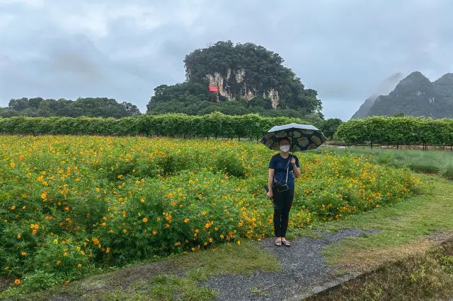 Yingde Peak Forest Xiaozhen, even in a torrential rain, I must go there