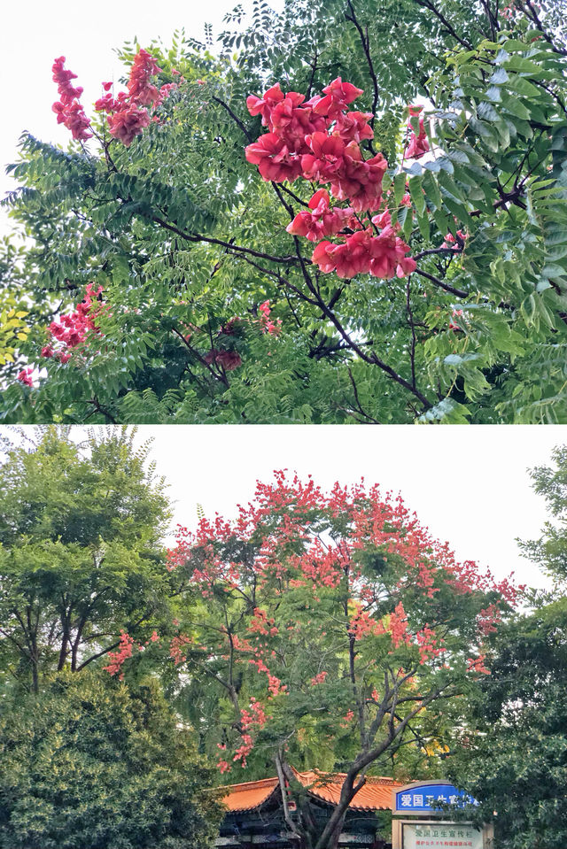 雲南昭通清官亭公園