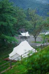 大連小眾露營地隱世深山裡的竹林野仙蹤