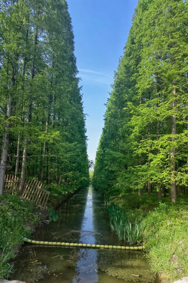 東平國家森林公園